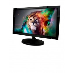 Monitor - 19"